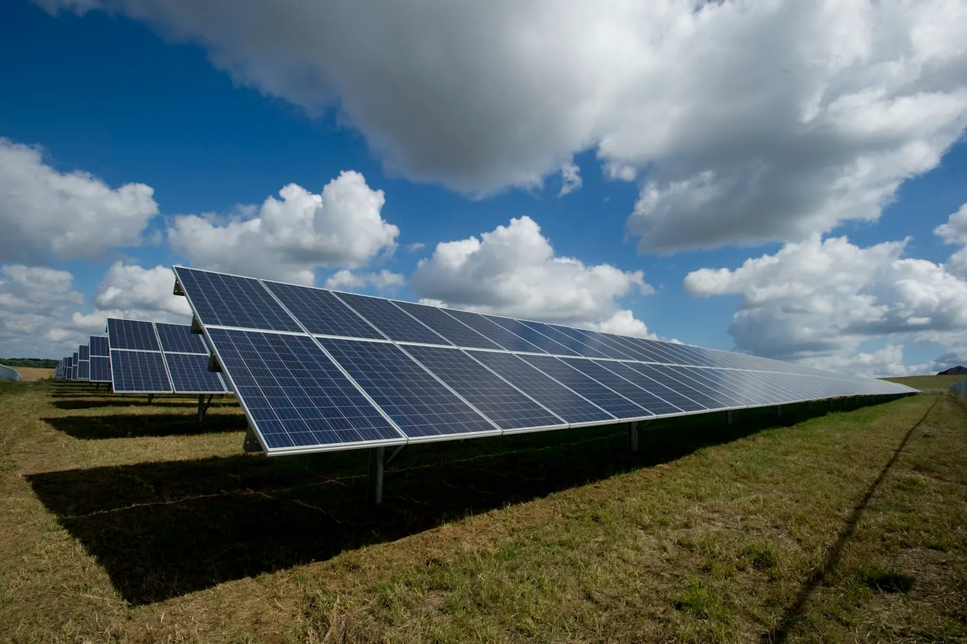 Row of solar panels in a field under a blue sky